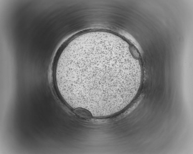 X0000100940928200807221154