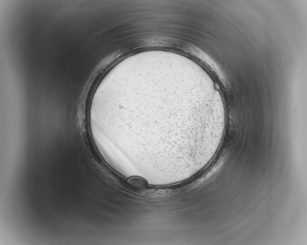 X0000100940930200807221154