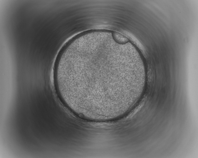 X0000100940932200807221154