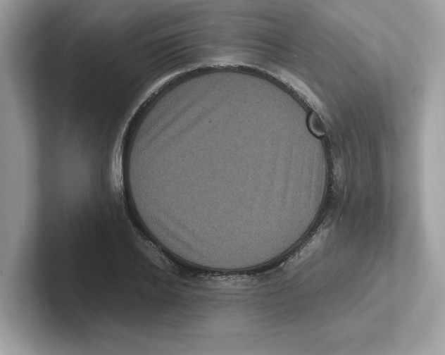 X0000100940934200807221154