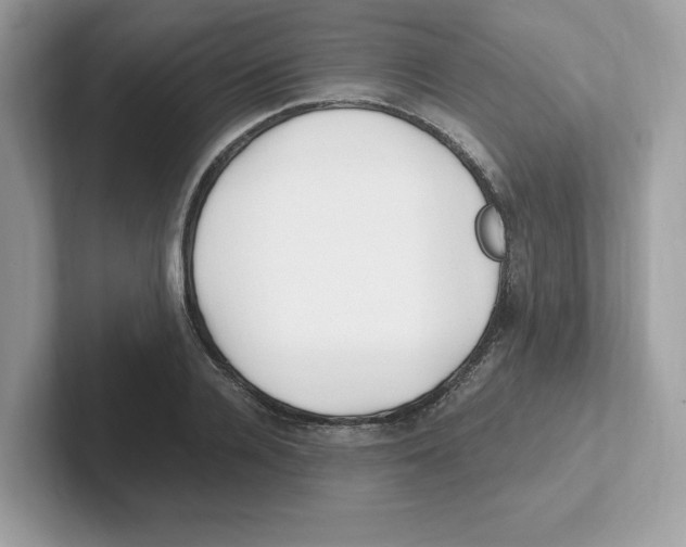 X0000100940936200807221154