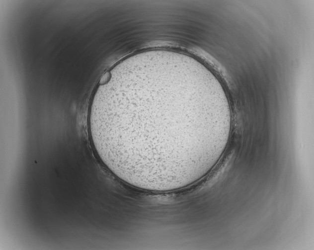 X0000100940937200807221154