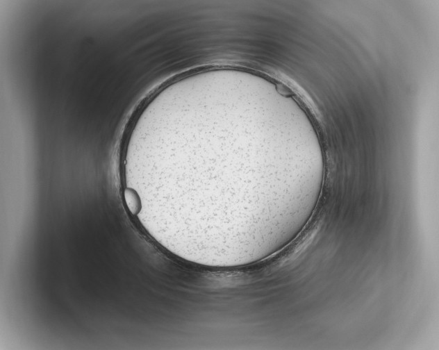 X0000100940939200807221154