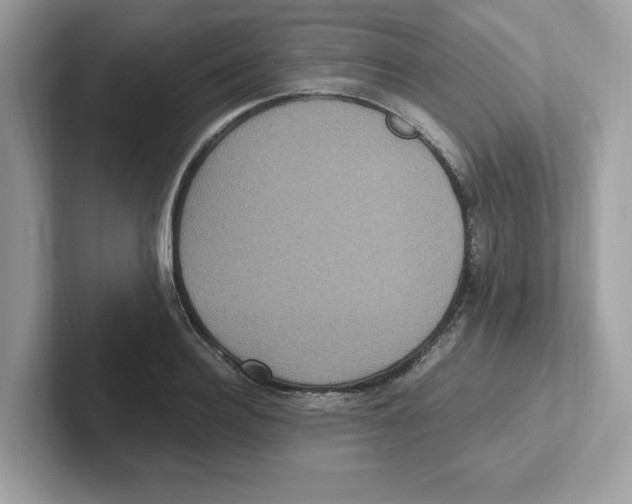 X0000100940940200807221154