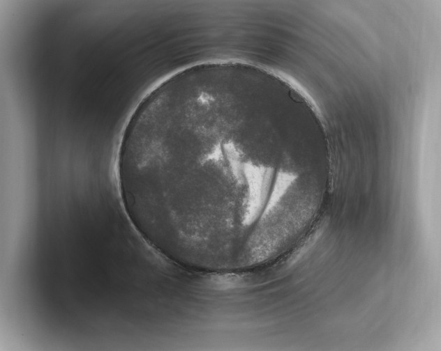 X0000100940943200807221154