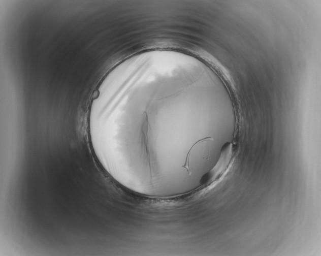 X0000100940945200807221154