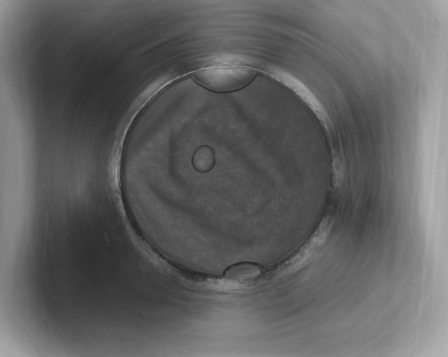 X0000100940946200807221154