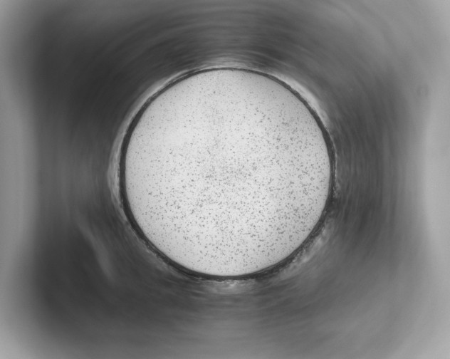 X0000100940949200807221155