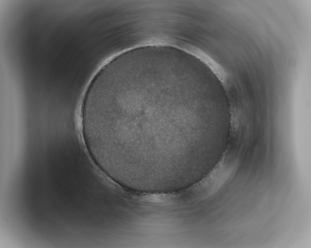 X0000100940950200807221155