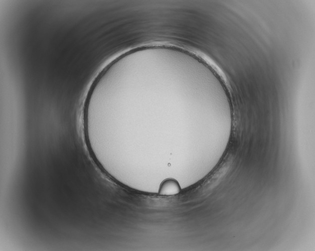 X0000100940951200807221155