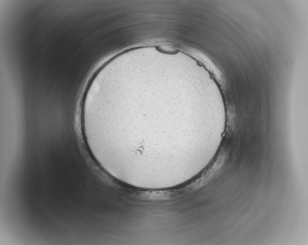 X0000100940952200807221155