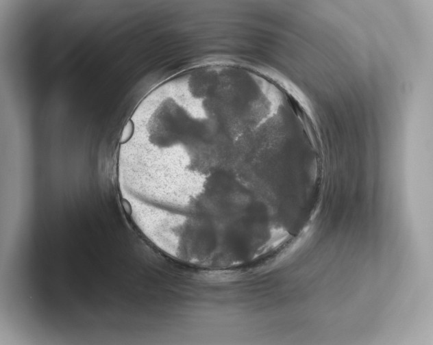 X0000100940953200807221155