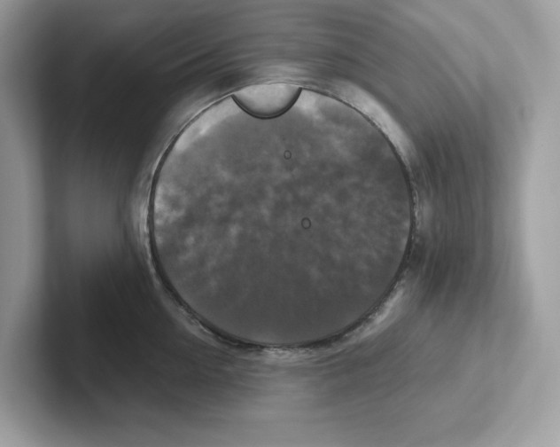 X0000100940954200807221155