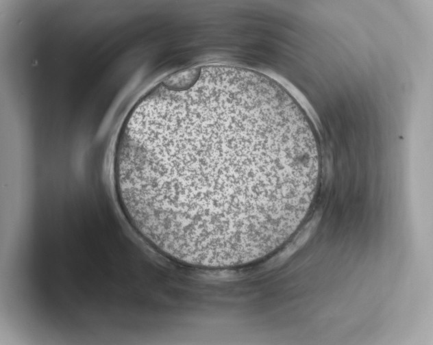 X0000100940957200807221155