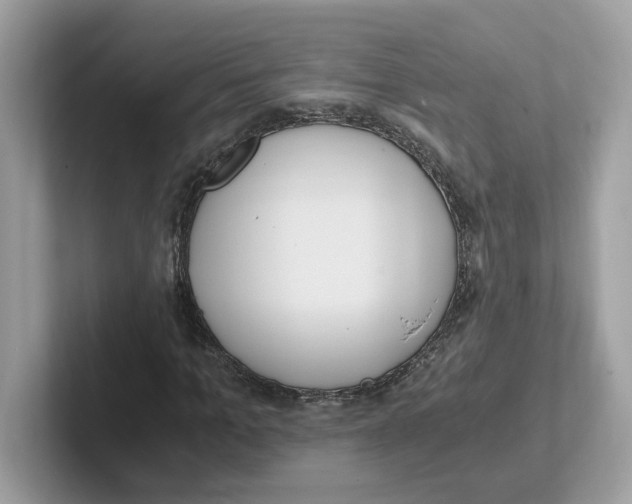 X0000100940965200807221154