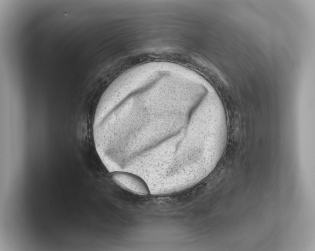 X0000100940966200807221154