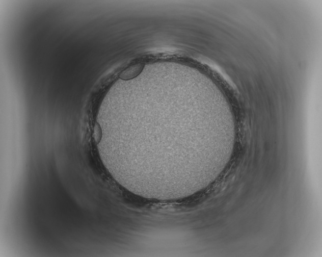 X0000100940967200807221154