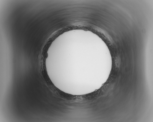 X0000100940968200807221154