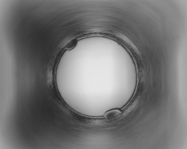 X0000100940969200807221154