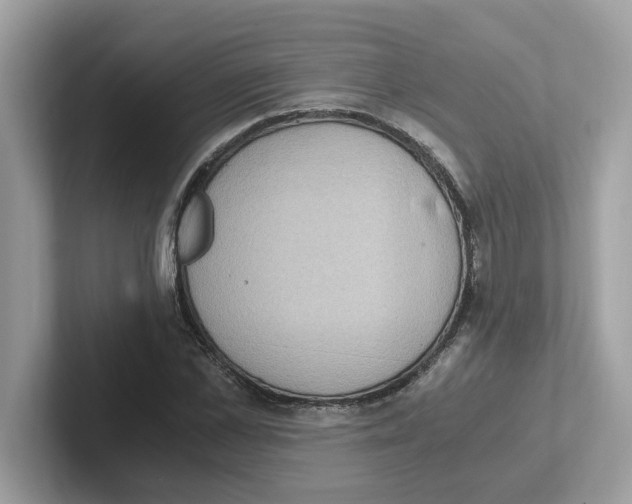 X0000100940973200807221154