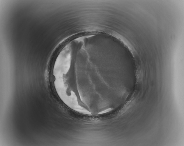 X0000100940975200807221154