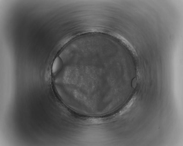 X0000100940977200807221154