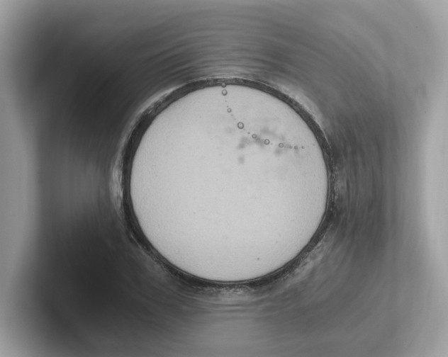 X0000100940979200807221154