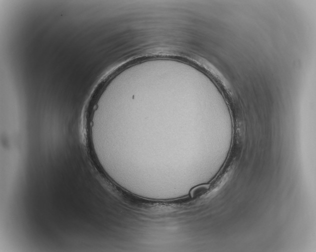 X0000100940981200807221154