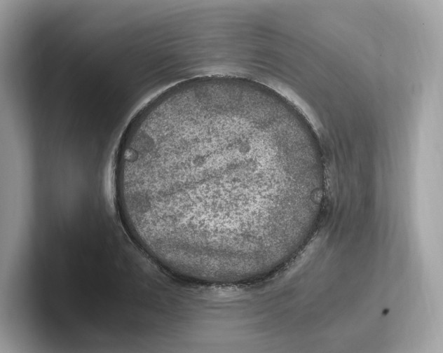 X0000100940983200807221154