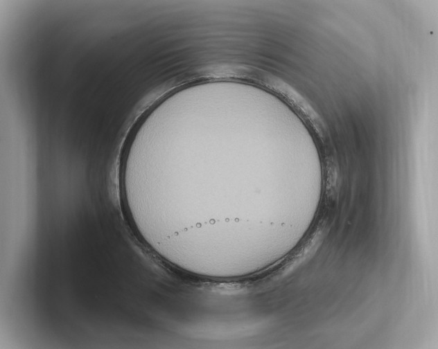 X0000100940986200807221154