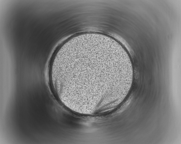 X0000100940987200807221154