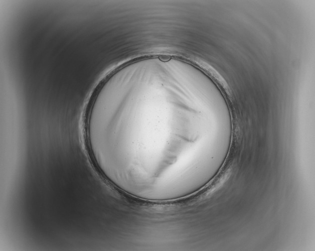 X0000100940989200807221154