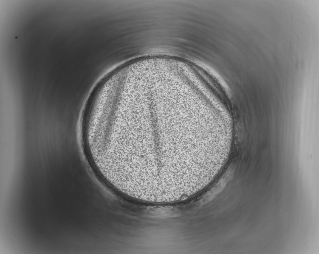 X0000100940991200807221154