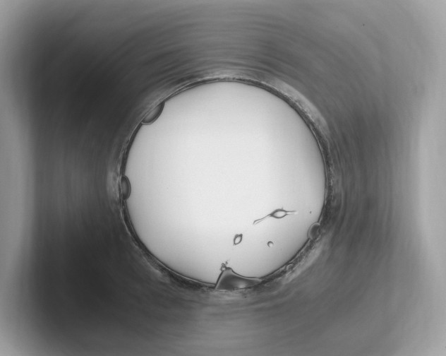 X0000100940993200807221154