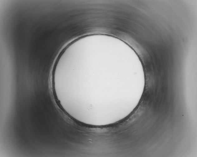 X0000100940996200807221154