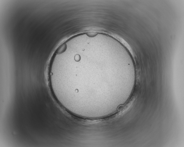 X0000100940997200807221154