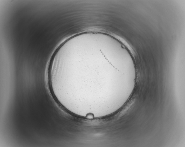 X0000100940999200807221154