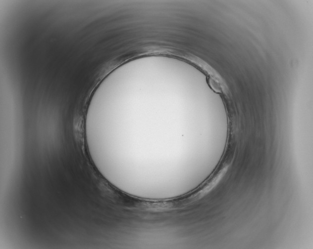 X0000100941001200807221154