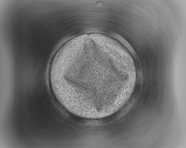 X0000100941002200807221153