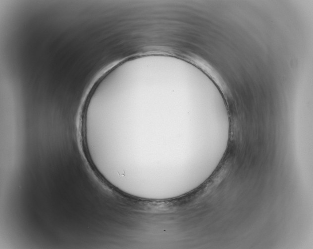 X0000100941003200807221153