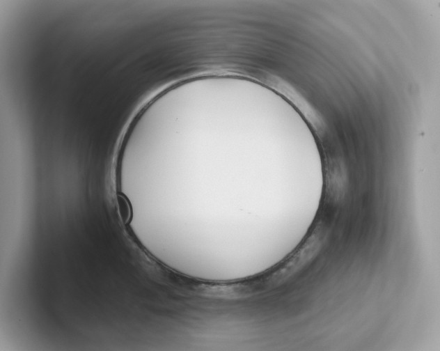 X0000100941004200807221153