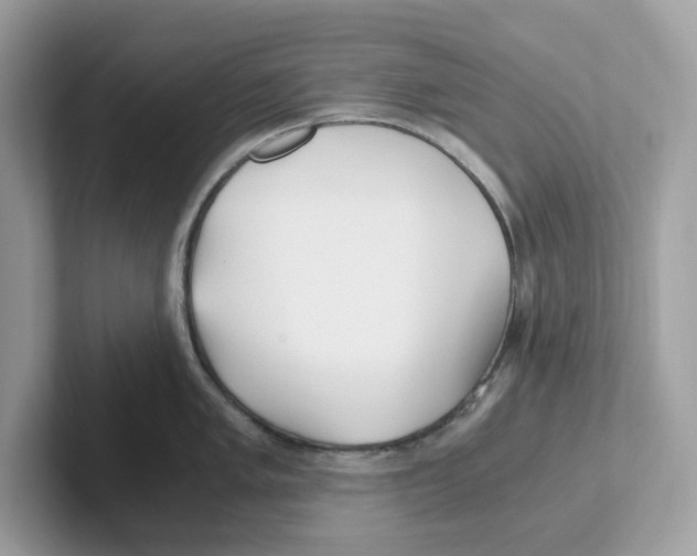 X0000100941005200807221153