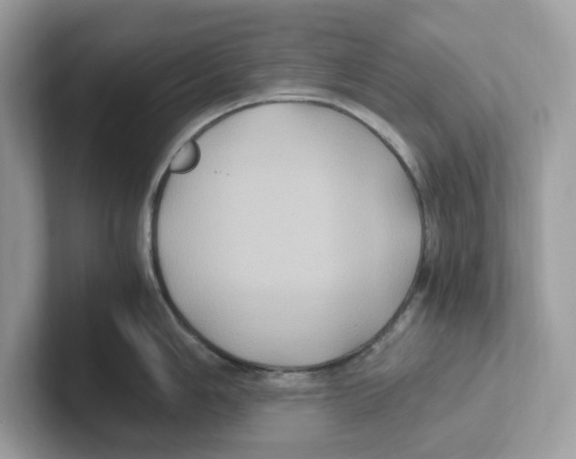 X0000100941006200807221153