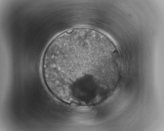 X0000100941007200807221153