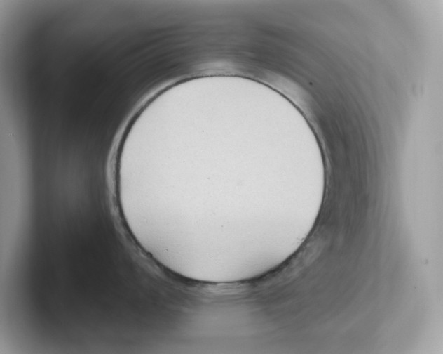 X0000100941008200807221153