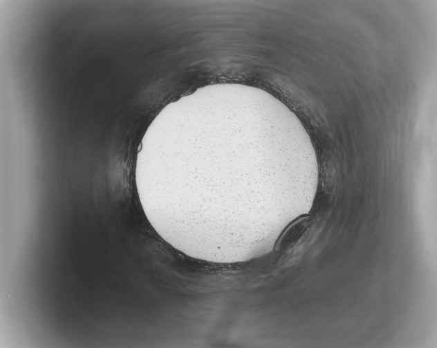 X0000100941010200807221153