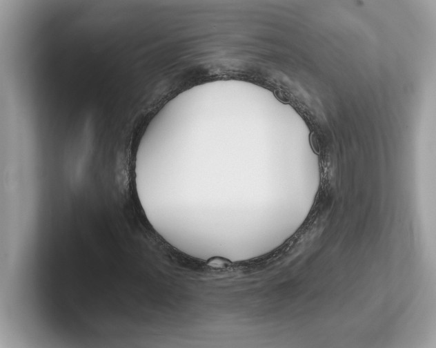 X0000100941012200807221153