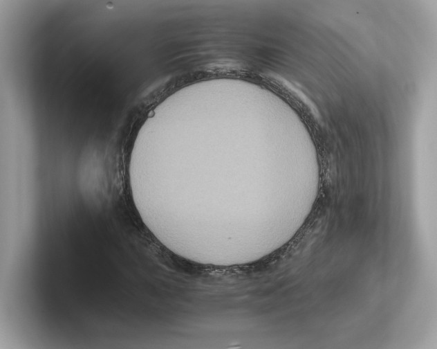 X0000100941015200807221153