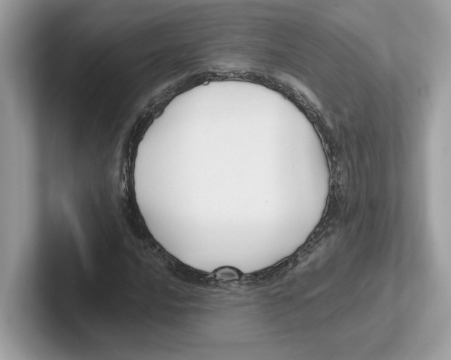 X0000100941016200807221153