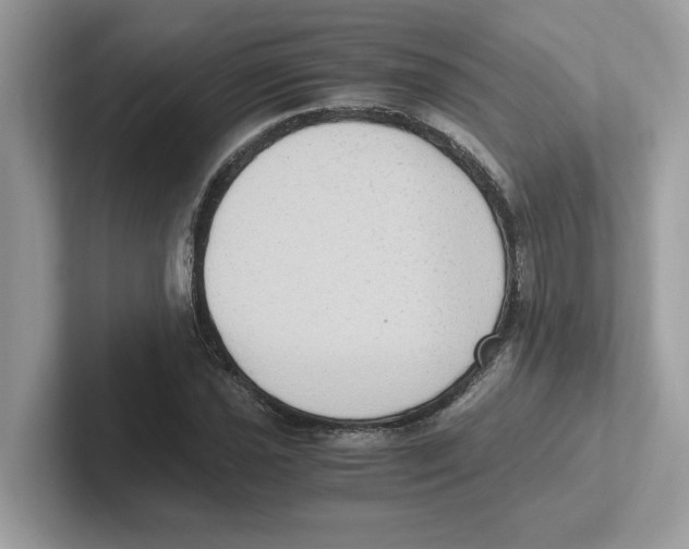 X0000100941021200807221153